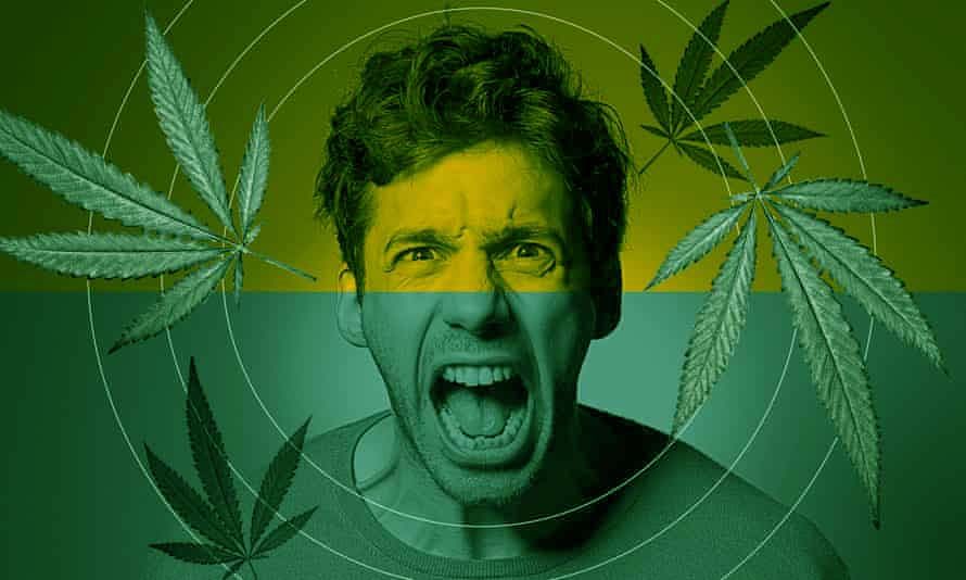 Marijuana Dependency: Myths, Facts, and Treatment